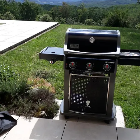 Coteaux De Braules *