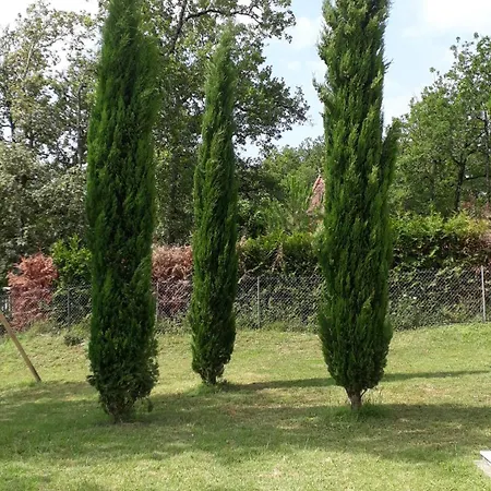 Coteaux De Braules Feriehus Gindou