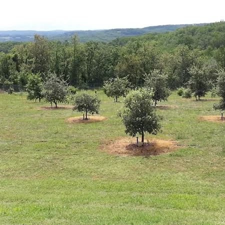 Feriehus Coteaux De Braules Gindou