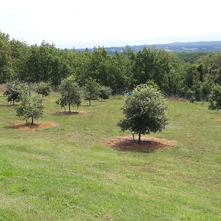 Coteaux De Braules * Gindou