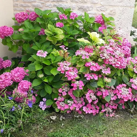 Holiday home Coteaux De Braules