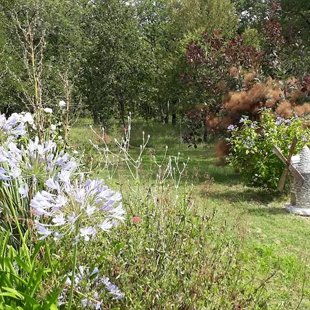Holiday home Coteaux De Braules *